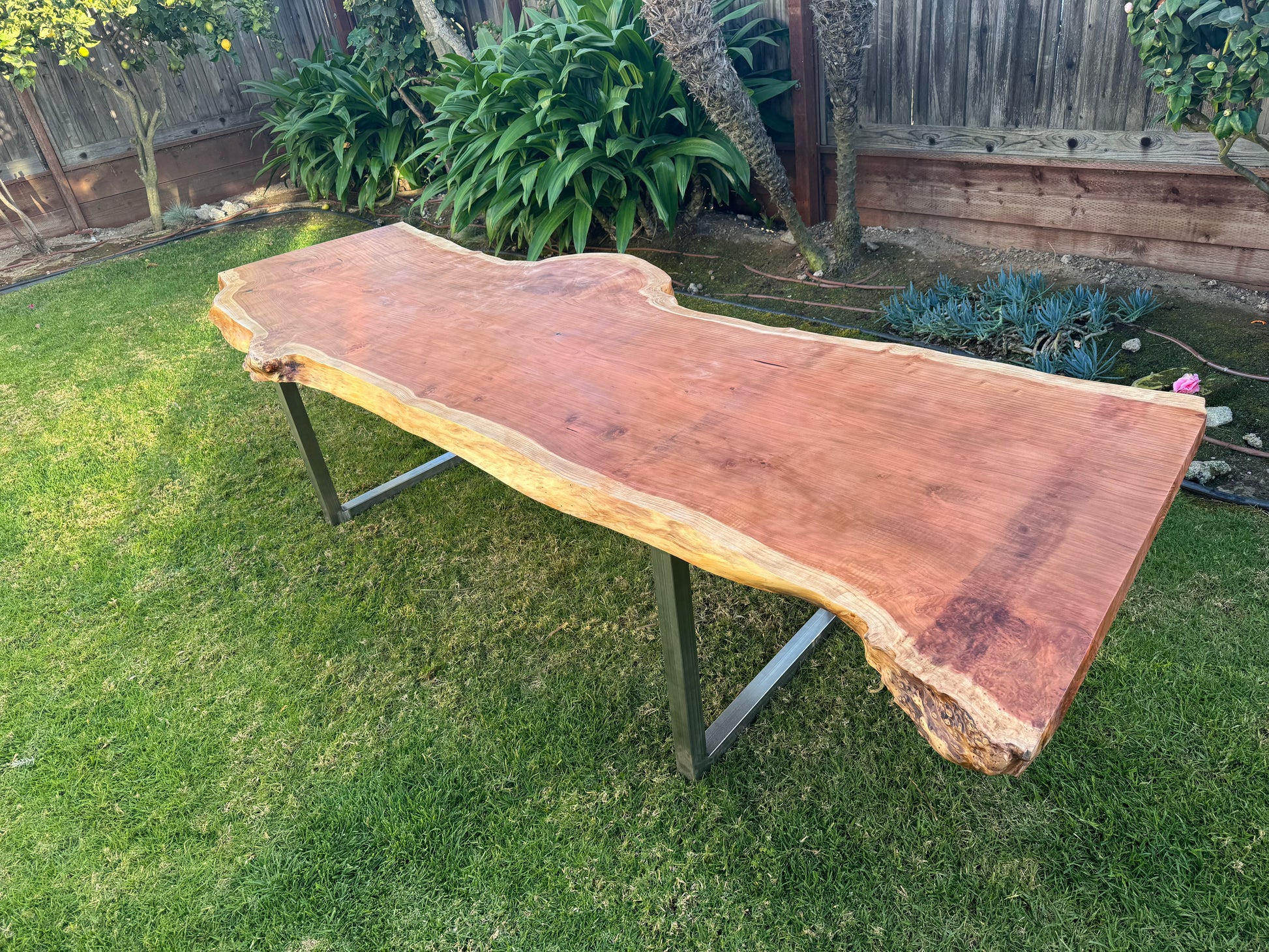 California Redwood - Redwood Horizon