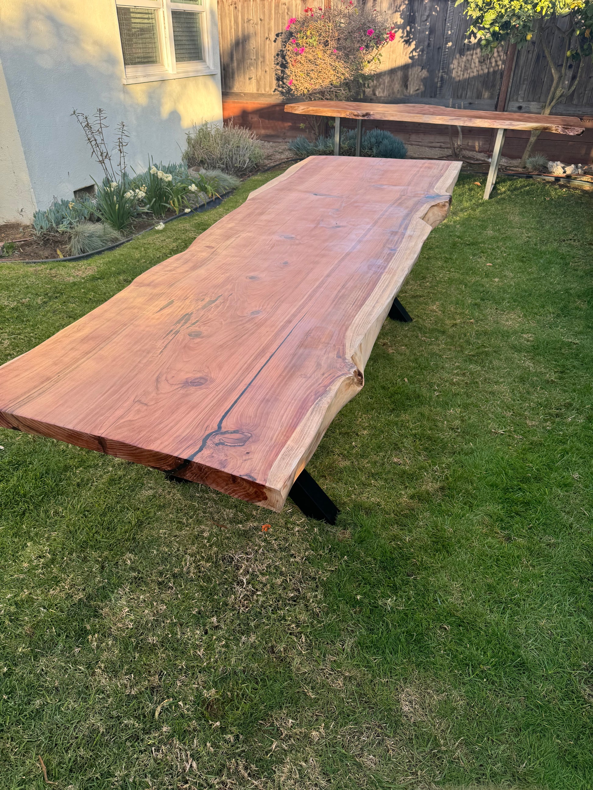 California Redwood - Big Betty